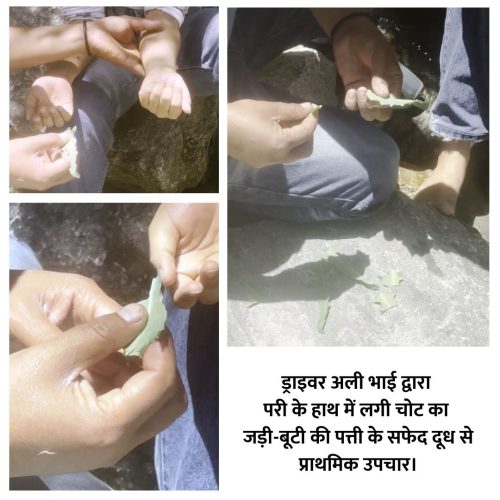 Village Scenes - 12