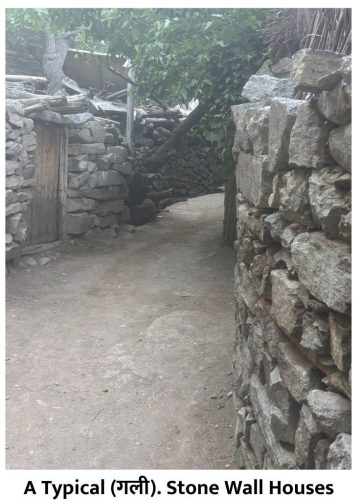 Village Scenes - 15