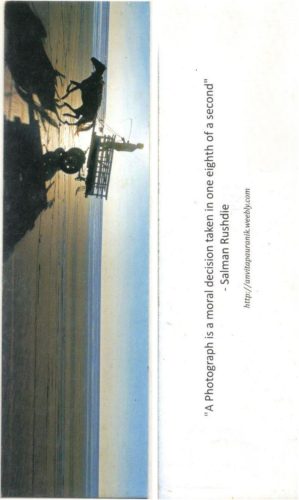 Bookmarks - 17