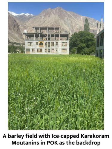 Village Scenes - 21