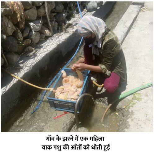 Village Scenes - 7
